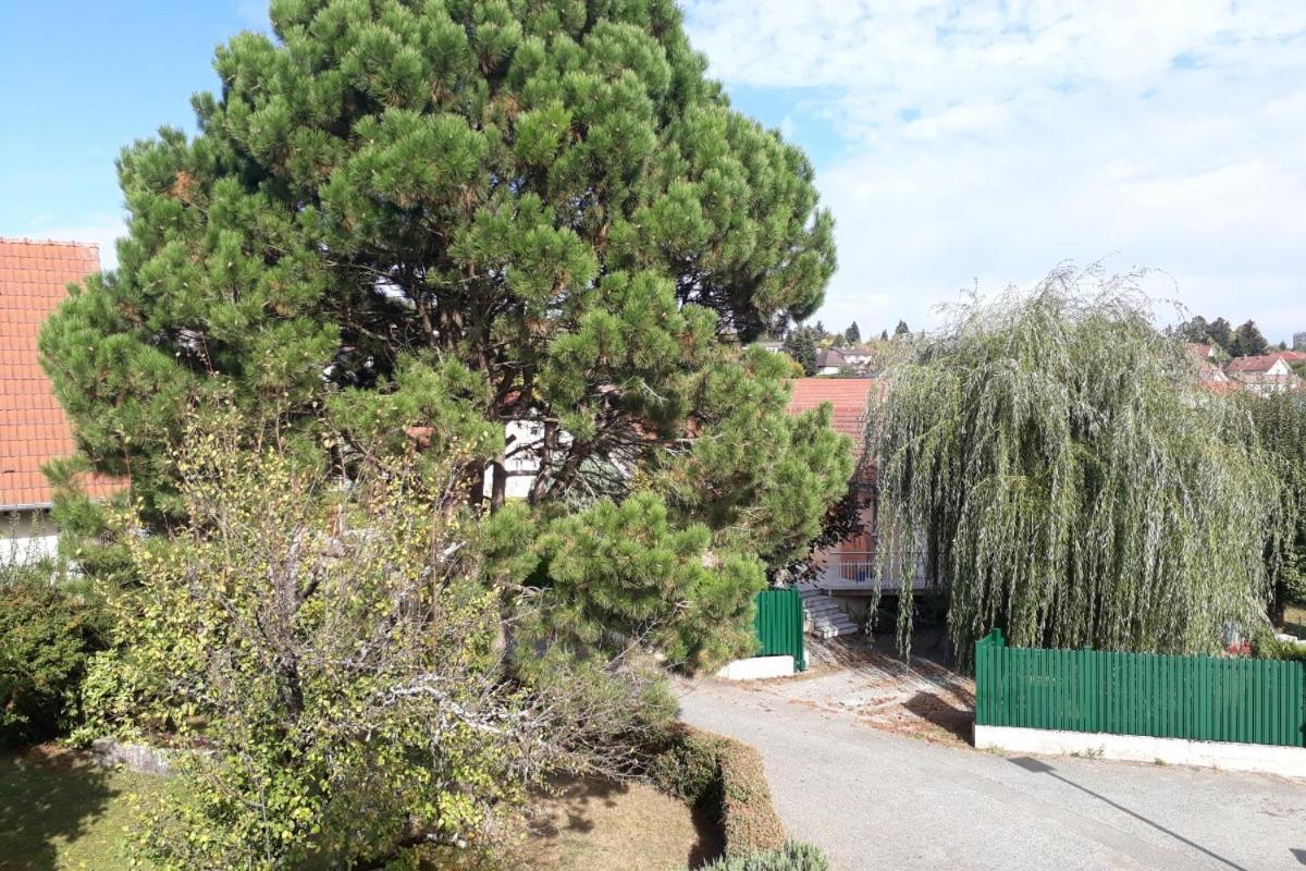Essert Appartement Independant A Proximite De Belfort מראה חיצוני תמונה